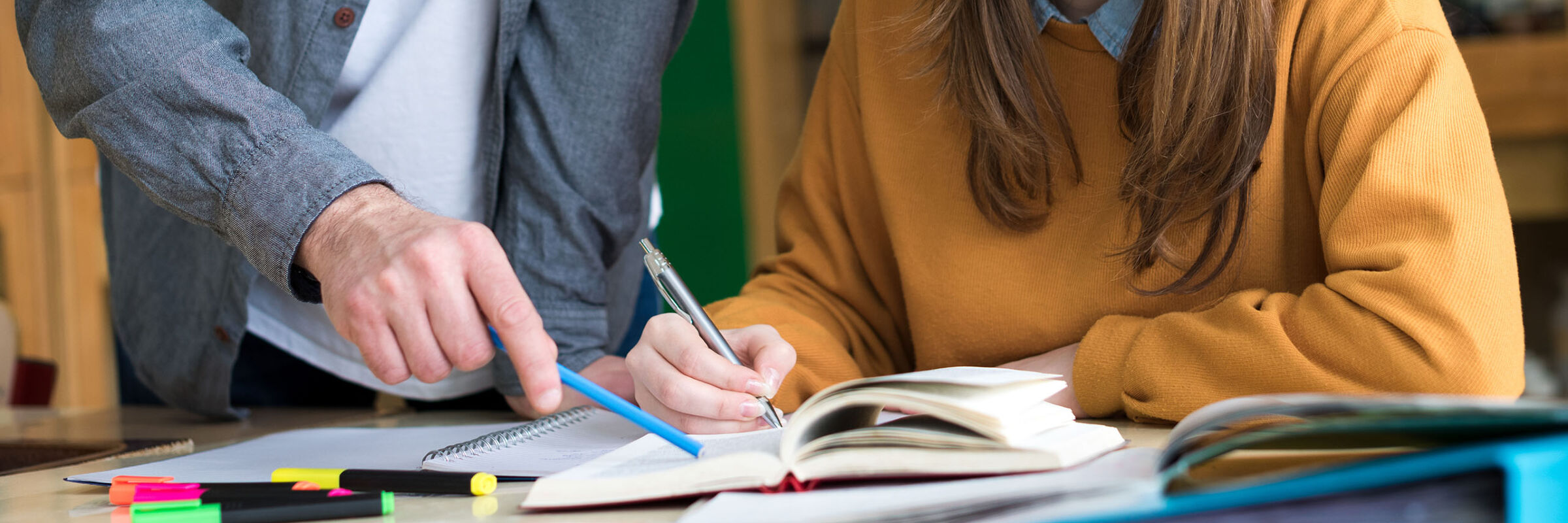 Schedule appointment with 1:1 Tutoring (demo) in United States