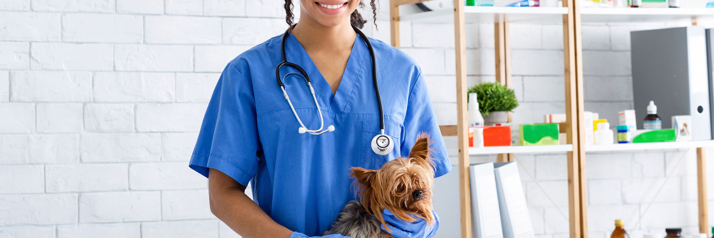 Schedule appointment with VetWorld (demo) in United States